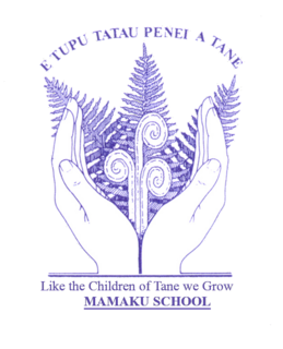 Mamaku School